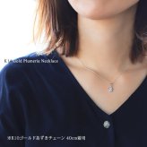 ゴールド ネックレス ハワイアンジュエリー ネックレス ホワイトゴールド ネックレス プルメリア 14K K14ホワイトゴールド ダイヤモンド ジルコニア K10 10Kあずきチェーン太0.7mm ギフトラッピング可能 彼女 妻 女性 レディース プレゼント ハロウィン 【品番：CG-GP109W】