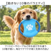 犬 おもちゃ 10個セット 通販 コットンロープ デンタルケア 運動不足解消 引っ張り合い 一人遊び 投げて遊ぶ 水洗い可能 耐久性抜群 噛むおもちゃ 室内屋外兼用 多頭飼い ペット用おもちゃ 安全素材 ストレス発散 小型犬