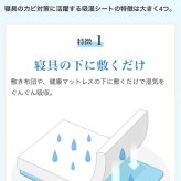 除湿 除湿シート 湿気取り 西川 ドライウェル セミダブル 抗菌防臭 高吸湿 モイスファイン 防カビ からっと寝 られる マット 湿気とり 布団 パッド マットレス 布団下 無地 グレー シンプル 正規品 新生活