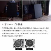 畳マットレス マットレス 三つ折り 日本 国産 畳 カビ防止 置き畳 軽量 梅雨 湿気 対策 新生活 こたつ敷 フロアマット 約100×210cm い草マットレス 折りたたみ畳 敷きマット 和室 フローリング 寝室 畳敷き 折り畳みマット 寝具 敷き寝具