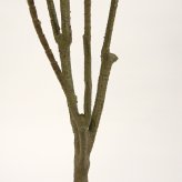 観葉植物 造花 ドラセナ ソングオブジャマイカ BROWN 全高約150cm 大型 フェイクグリーン 本物そっくり おしゃれ インテリア 人工観葉植物 アーティフィシャルグリーン オフィス 店舗 ホテル 開店祝い 室内 フェイク