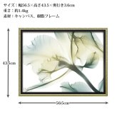 X RAY キャンバスアート ファミリア ロマンス M XR-12501 送料無料 アートフレーム 花 葉っぱ 葉 X線 絵画 アート インテリア