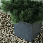 植木鉢 大型 おしゃれ 四角 角型 キューブ KONTON ファイバークレイ ベータ キューブプランター アンスラサイト 底穴あり 屋外 ファイバーセメント L M 観葉植物 シンボルツリー オリーブ 多肉植物 寄せ植え モダン 北欧 ナチュラル ベランダ 玄関 テラス 店舗 10号