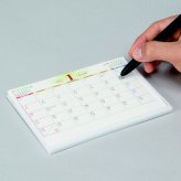 DMサイズカレンダー  TS-521 景品 記念品 粗品 ノベルティ 名入れ 御挨拶 ご挨拶