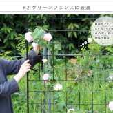 ガーデン エクステリア アイアンフェンス 高さ176 「グラフ」 1枚 送料無料 フェンス アイアン ガーデニング 枠 柵 仕切り 目隠し 境目 クラシカル アンティーク 格子 ベランダ つる 薔薇 バラ 朝顔 園芸 ラティス つるバラ 庭誘引 屋外