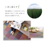 夏ラグ 夏用カーペット ラグ 純国産 国産 日本製 い草 抗菌防臭 自然素材 モダン 『DXカラフルブロック』 約191×191cm