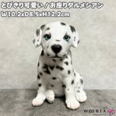 犬の置物 woobia ウービア お座りダルメシアン 子犬 リアル動物オーナメント 高さ12cm 青い瞳 イギリス職人手彩色 玄関 リビング 棚 インテリア 犬好き 誕生日 新築祝い 記念日 お祝い ギフト プレゼント かわいい
