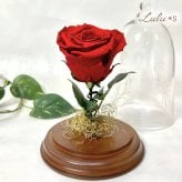 【天然ダイヤモンドの輝き】プリザーブドフラワー バラ 薔薇 ガラスドーム 2色 赤 青 ダイヤモンドローズ 花 ギフト プロポーズ 結婚式 記念日 誕生日 プレゼント 女性 妻 彼女 美女と野獣 サムシングブルー アモローサ 還暦祝い 退職祝い お祝い インテリア オブジェ Lulu＊s ルルズ