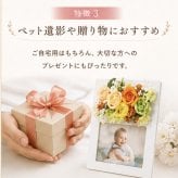 ペット メモリアルフォトフレーム 写真入り フラワーギフト 犬 猫 愛犬 愛猫 うちの子 誕生日 プレゼント 記念日 お祝い 贈り物 ギフト ペットロス 思い出 写真立て 花飾り フラワーアレンジメント 写真入れ替え ペットメモリアル 犬好き 猫好き 家族 大切な家族 記念品 インテリア 母の日 父の日 敬老の日 クリスマス 供養 感謝 オーダーメイド ペット写真 愛犬グッズ 愛猫グッズ