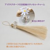 【最後の1点】誕生日 新居 　精麻の壁飾り 黎明(れいめい）蘭・デンファレ【プリザーブドフラワー】玄関 客間　花 お礼 リース スワッグ インテリア