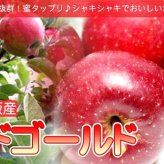 りんご 北海道産 蜜入 レッドゴールド リンゴ 9kg（約36-54個入）