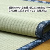 夏ラグ 夏用カーペット 純国産 い草 上敷き カーペット 糸引織 『岩木』 江戸間4.5畳(約261×261cm）