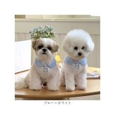 ペット服 おしゃれ 通販 犬服 いぬ わんちゃん用 ペットグッズ 袖なし 小型犬 中型犬 かわいい 襟付き 可愛い 春夏 伸縮性 タンクトップ お散歩 換毛対策 お出かけ カジュアル 着脱簡単 ギフト 贈り物 旅行