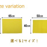 バスマットに下に敷くだけ バスマットが『乾くんだ』 約40×50cm