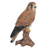 置物 鳥 チョウゲンボウ 高さ21.5cm woobia ウービア 野鳥 リアル おしゃれ 玄関 インテリア オブジェ ガーデン 北欧 ナチュラル 猛禽 動物 アニマル 癒し 鳥好き 出窓 棚 玄関飾り プレゼント ギフト バードウォッチング