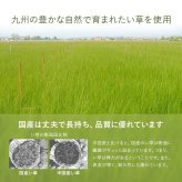 置き畳 半畳 国産 い草 簡単 和室 約82×82cm 2枚組