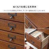 チェスト 9段チェスト A4収納可 幅28×高さ99cm 書類 整理 収納力 木目調 引き出し 天然木 リビング収納 マルチ収納 文房具 工具類 事務 オフィス キッチン ネームプレート ブラウン ホワイト アンティック風 新生活