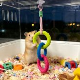 ハムスター おもちゃ 吊り下げ 3連リング ゴム製 小動物 おもちゃ リング 玩具 ケージ 吊り下げ玩具 運動 遊び道具 ストレス解消 ハムスター用品 小動物用品 ペット用品