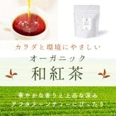 国産無添加 フルーツティー＆水出しボトルセット｜和紅茶 国産ドライフルーツ 砂糖不使用 フルーツティー 水出し茶 アイスティー お茶ギフト おしゃれ ギフト 誕生日 お祝い 母の日 お歳暮 お年賀 クリスマス プレゼント