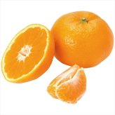 送料無料 お歳暮  愛媛県産 みかん約3kg   ※11/2以降の出荷予定となります。北海道・沖縄・離島は配達不可 全国送料無料 御歳暮 早割 お歳暮2026 御挨拶 お取り寄せ グルメ スイーツ