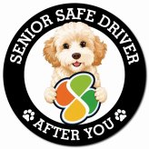 カーサイン 高齢者マーク SENIOR SAFE DRIVER ゴールデンドゥードル マグネット 強力 直径13cm 肉球 日本製 車 ステッカー