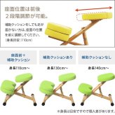 プロポーションチェア 補助クッション付き プロポーション 宮武製作所 キッズ CH-889CK 自発心を促す 学習 椅子 イス 学習椅子 姿勢サポートチェア バランスチェア 学習チェア 北欧 ライム ピーチ レモン ソーダ オレンジ 子供いす 北欧風