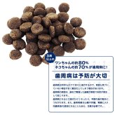 プロデン デンタルバイツ　犬用