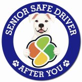 カーサイン 高齢者マーク SENIOR SAFE DRIVER ドゴアルヘンティーノ マグネット 強力 直径13cm 肉球 日本製 車 ステッカー