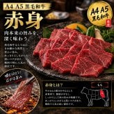 黒毛和牛 A4 A5 焼肉4種食べ比べ 400g 焼肉セット 肉ギフト