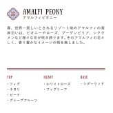 Rudy ルディ Le Maioliche ル・マヨルカ Hand Cream Gift Set ハンドクリームギフトセット Stella ステラ