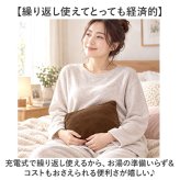 湯たんぽ 充電式 通販 蓄熱式 ゆたんぽ コードレス 電気湯たんぽ ウィテック WJ-8190 エコ 電気 充電式湯たんぽ 暖房器具 あったかグッズ 暖かい 防寒 お腹 脚 足 あったか オフィス 持ち運び シンプル カバー付き