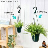 PLANCHU 観葉植物 ネフロレピス ツデー 6号吊り鉢 育て方説明書付き Nephrolepis exaltata ‘Teddy Junior’ ボストンファーン ボストンファン シダ植物