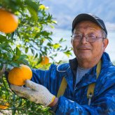 《小瓶》甘夏屋 甘夏果汁100%ジュース 180ml瓶 オレンジジュース ギフト プレゼント お中元 お歳暮 御祝  御礼 内祝い ご挨拶 結婚御祝 快気祝い【送料無料】