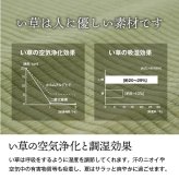 夏ラグ 夏用カーペット 純国産 い草 上敷き 上質ない草で作った カーペット 双目織 江戸間1畳(約88×176cm）