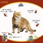 Kaniva カニワ サーモン ツナ＆ライス キャットフード 1.4kg×6個