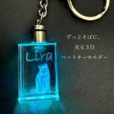 ３D彫刻 うちの子光るクリスタルキーホルダー　　犬 猫 ペット 立体 名入れ メモリアル オーダー ガラス ギフト プレゼント キレイ シンプル 透明 クリア 女性 男性