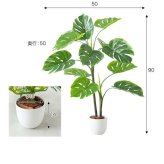【高さ90cm】光触媒人工観葉植物 モンステラ 幅50cm×奥行50cm×高さ90cm リビング ダイニング 天然木 お部屋に気軽に飾れて空間を美しく彩るフェイクグリーン 本物の植物のようなリアルな質感とインテリアに馴染む風合いが魅力です