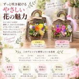 小鳥のフラワーバッグ｜プリザーブドフラワー フラワーアレンジメント 花かご インテリア ギフト 誕生日 母の日 お祝い おしゃれ かわいい メッセージカード 結婚記念日 プレゼント ギフト 結婚祝い ウェディング プロポーズ 女性 妻 開店祝い 入学祝い サプライズ