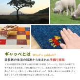ラグ カーペット ギャッベマット ギャッベ 羊毛 手織りマット 屋内 おしゃれ ギャベ 春夏秋冬用 オールシーズン インド 約40×120cm