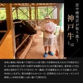 御中元 ミシュラン掲載店 カタログギフト 肉 お肉【神戸牛 田中精肉店 肉師が厳選 1万5000円 コース 】15000 ギフト 選べる プレゼント 和牛 結婚祝い グルメ お祝い 高級 国産和牛 国産 牛肉 誕生日 引き出物 内祝い 香典返し