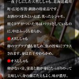 子持ち 本シシャモ　30尾入り　（中サイズ）　北海道鵡川・広尾・厚賀・釧路産 ししゃも 脂のりも良く、ご飯のおかずに最適 干物 柳葉魚 干し魚 ぷちぷち卵の食感も味わえます 焼き魚