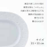 BERNARDAUD ベルナルド エキュム レリッシュ ディッシュ 21×15cm 単品 名入れ彫刻代込み 名前 彫刻 刻印 プレゼント ギフト 記念日 高級 ブランド 開店祝 新築祝 誕生日 法人 お皿 プレート インテリア ウェルカムボード オーバル だ円