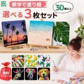 数字塗り絵 大人の塗り絵 ミニサイズ 選べる3点セット ナンバーペイント数字入り 塗り絵 脳トレ 趣味 おうち時間 絵画キット アート 癒し プレゼント 誕生日 母の日 父の日 敬老の日 【無料ラッピング】【選べるデザイン】【送料無料】