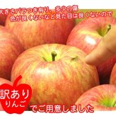 青森りんご 9kg 訳あり 送料無料 福袋 北海道産 青森産 リンゴ ※沖縄は送料別途加算 到着日指定不可