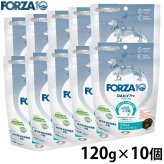 フォルツァ10 FORZA10 ドッグフード デイリープロ アダルトミニ フィッシュ 120g×10個