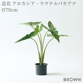 観葉植物 造花 アロカシア・ラウテルバキアナ BROWN 全高約70cm フェイクグリーン 高級 本物そっくり リアル おしゃれ 卓上 インテリア 人工観葉植物 アーティフィシャルグリーン モダン オフィス 店舗 開店祝い 室内 リビング 玄関 寝室 風水 クワズイモ