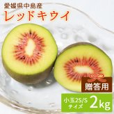 産地直送 レッドキウイ 2kg 小玉 贈答用 特選品 キウイフルーツ 2キロ 国産 瀬戸内海 離島の島 愛媛県 中島産 希望の島産 産直【送料無料】