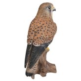 置物 鳥 チョウゲンボウ 高さ21.5cm woobia ウービア 野鳥 リアル おしゃれ 玄関 インテリア オブジェ ガーデン 北欧 ナチュラル 猛禽 動物 アニマル 癒し 鳥好き 出窓 棚 玄関飾り プレゼント ギフト バードウォッチング