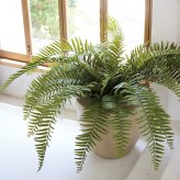 観葉植物 造花 ジャイアントソードファーン 枝垂れ BROWN 全高約70cm フェイクグリーン 高級 本物そっくり リアル おしゃれ 卓上 インテリア 人工観葉植物 アーティフィシャルグリーン シダ オフィス 店舗 開店祝い 室内 リビング 玄関 風水 ボストンファーン