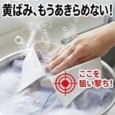 【30ｇ×3個入り】お試しセット シュワッ！とパンチ シュワっとパンチ 酸素系漂白剤 発泡洗浄剤 高濃度酸素 酵素 洗浄 脱脂 除菌 漂白 消臭 カビ  送料無料